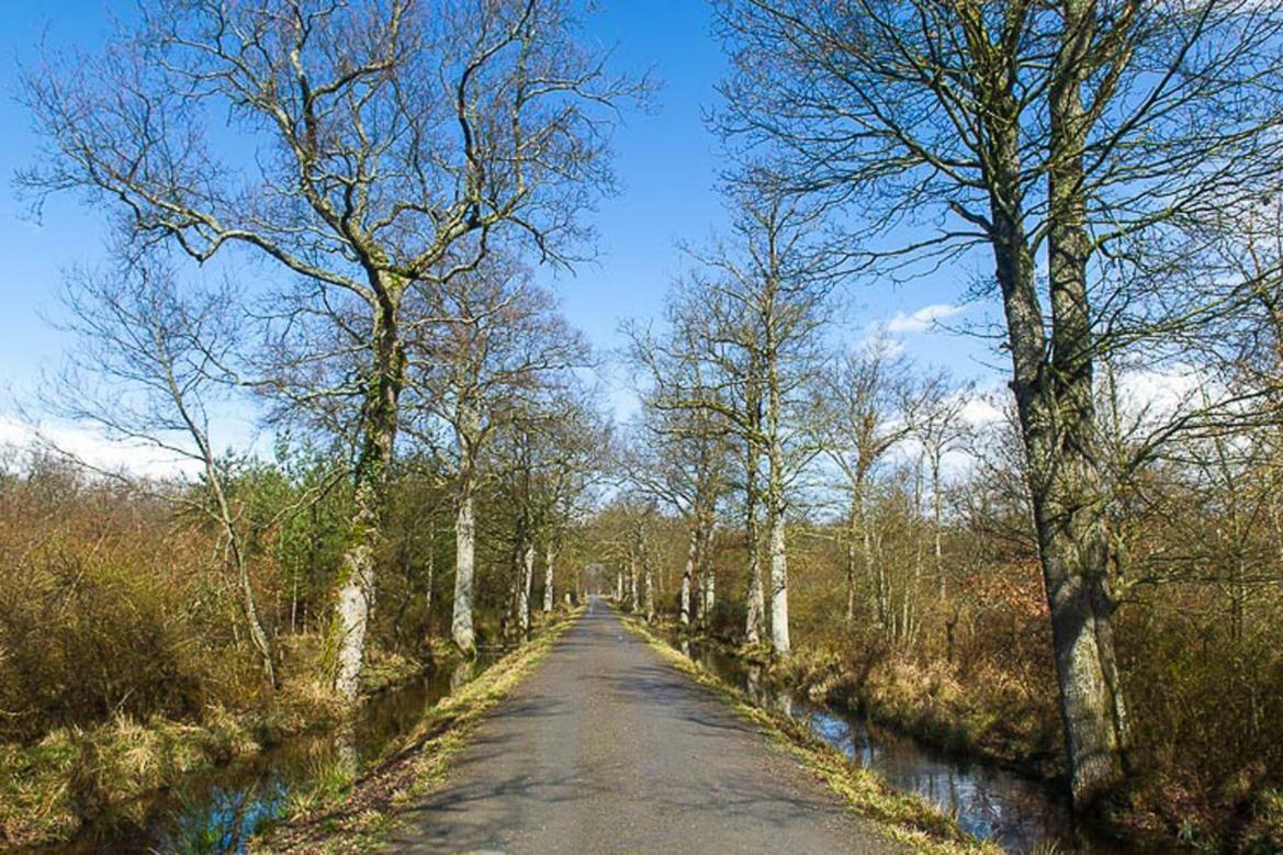مبيت وإفطار Mauzé-Thouarsais Le Domaine Des Bois المظهر الخارجي الصورة
